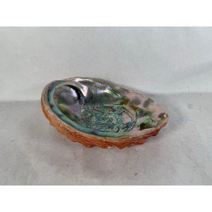 Abalone Shell Key & Trinket Dish – Decorative Natural Iridescent Shell 8.25"