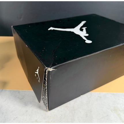 Nike Air Jordan 6 Retro Oreo Men's Size 10 CT8529-112 NIB