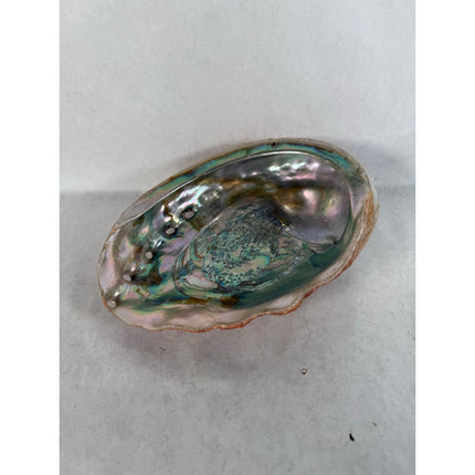 Abalone Shell Key & Trinket Dish – Decorative Natural Iridescent Shell 8.25"