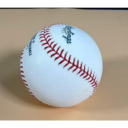 Don Mattingly Signed Rawlings Official Major League Baseball Blue Ink No COA