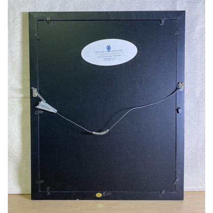 Washington State Quarter Dollar Collection – 32 Silver Coins in Framed Display