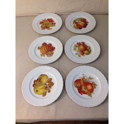 Set of 6 Hutschenreuther Fruit Plates w/ Scalloped Edges, Stickers & Original Box