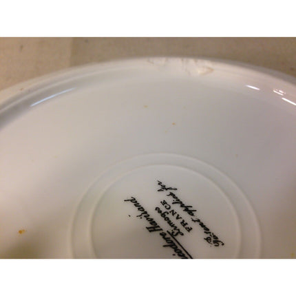 Antique Limoges Theodore Haviland Dresden Rose 9 Porcelain Dinner Plates