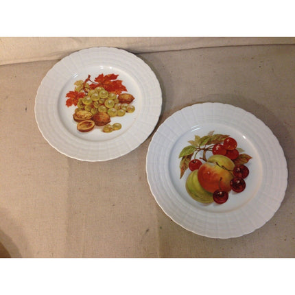 Set of 6 Hutschenreuther Fruit Plates w/ Scalloped Edges, Stickers & Original Box